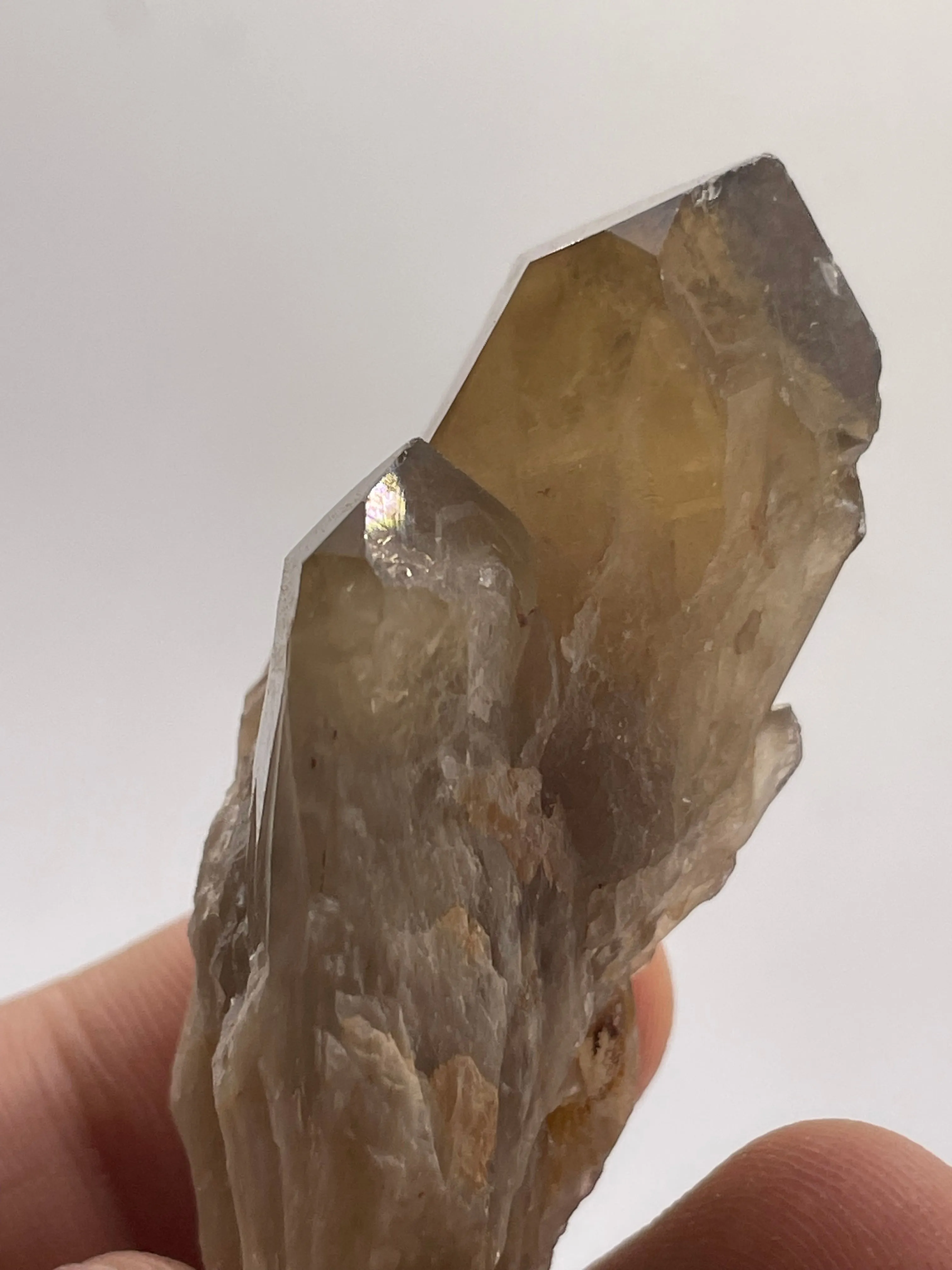 864g Wholesale Flat of Kundalini Citrine Crystals, 36 Pieces, Kundalini Quartz, Democratic Republic of Congo